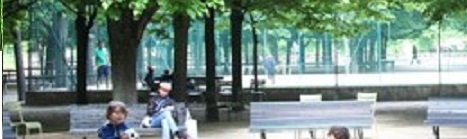 parc15.jpg